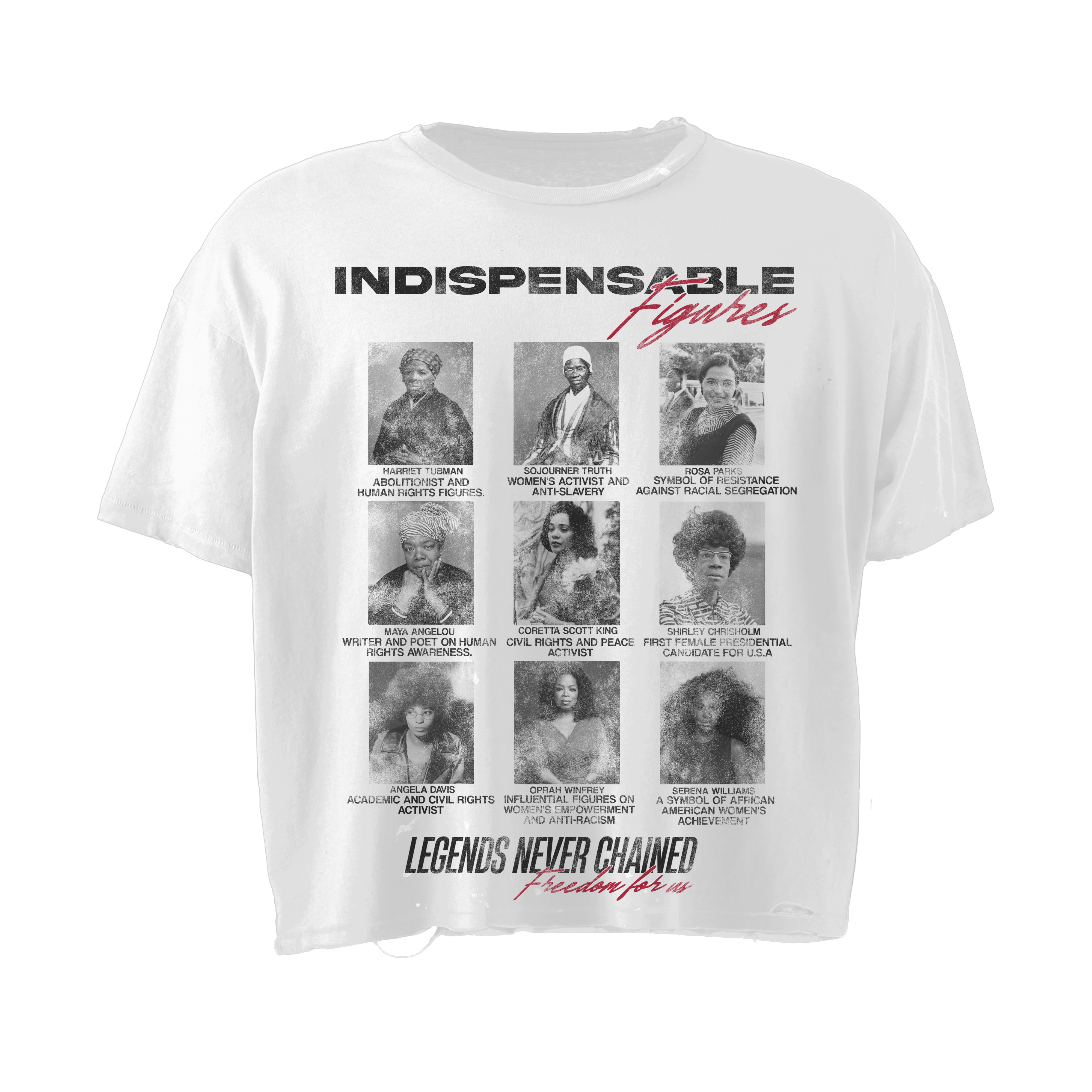 INDISPENSABLE FIGURES